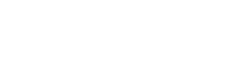 Hexaly Logo